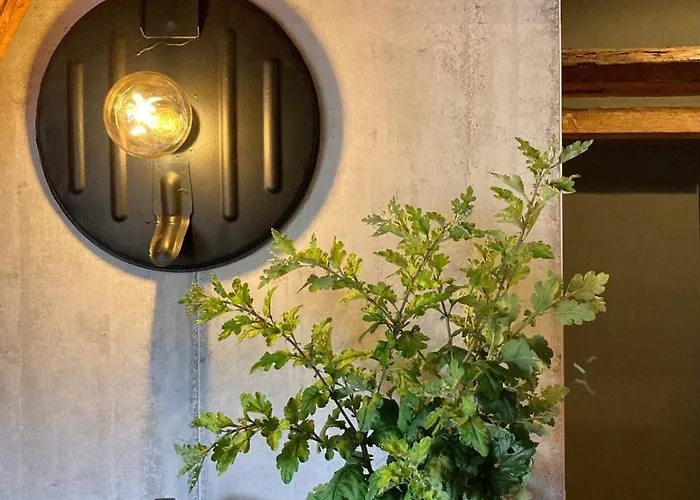 Taubenschlag Appartement *